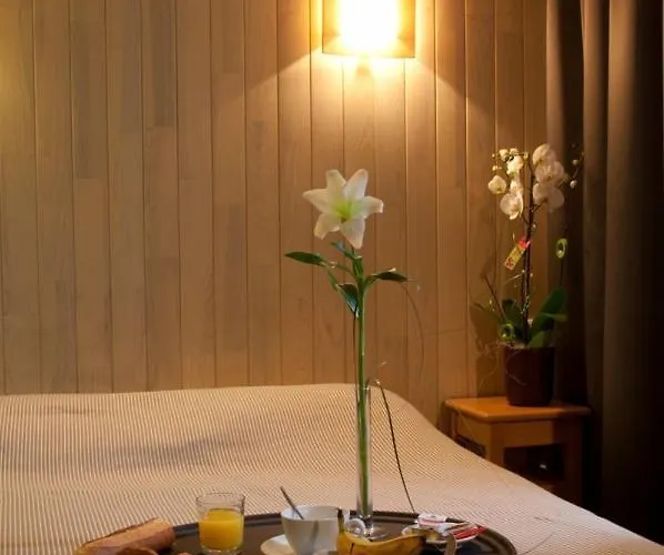 Logis Le Relais Hotel Biscarrosse